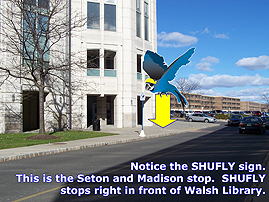 Shufly virtual tour stop. Image highlights stop being in front of walsh library.