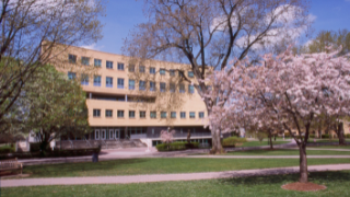Spring campus with cherry blossoms. 