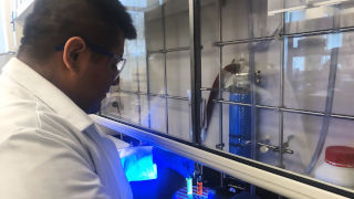 Student in lab, experimenting