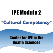 Badge for IPE Module 2.