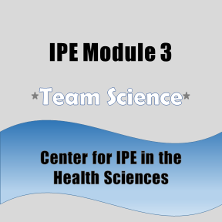 Badge for IPE Module 3.