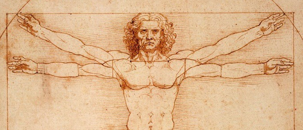 Leonardo Da Vinci human anatomy drawing